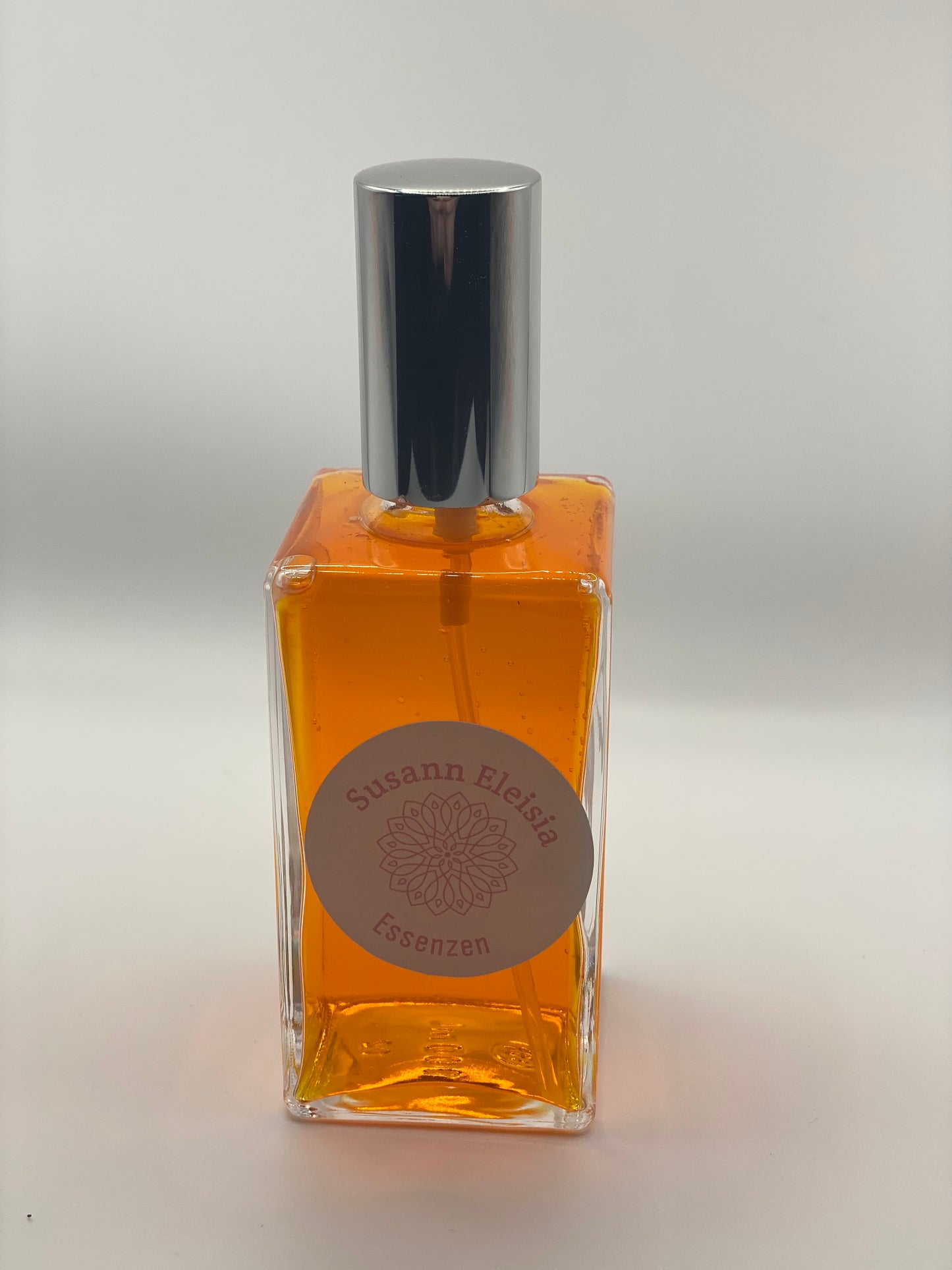 Die Essenz der Neuzeit An`Anara