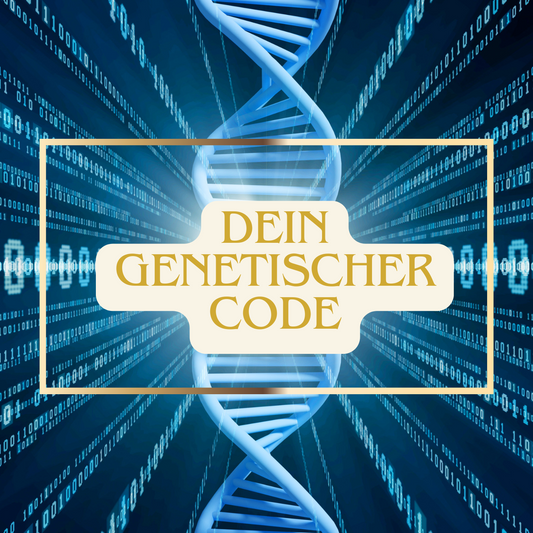 Neue Energien im Shop. Entdecke unsere aktuellen Highlights
