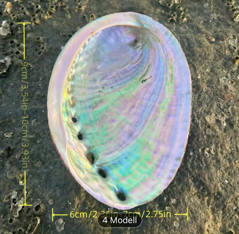 Räuchergefäß - Muschel