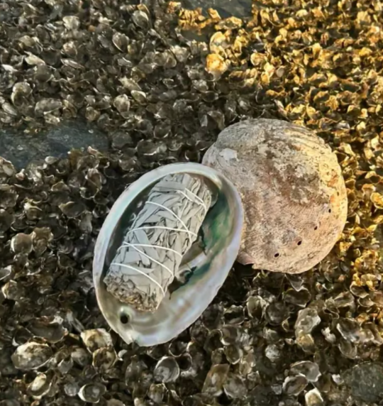 Räuchergefäß - Muschel