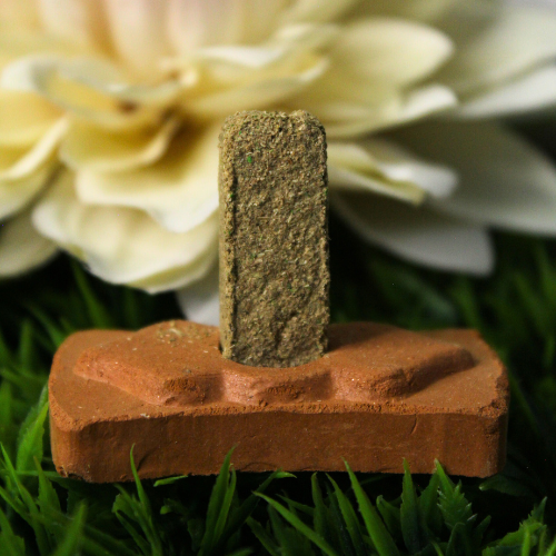 Palo Santo Smudge Bricks (15 Steine mit Brenner)
